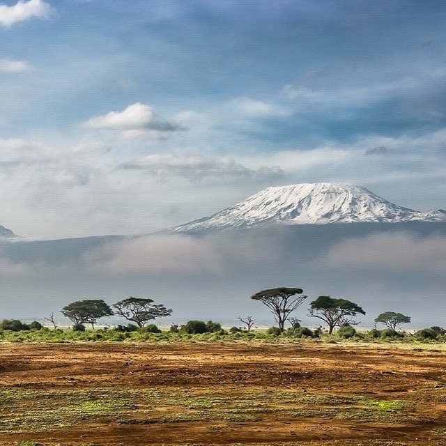 Savanna and the peak, Kilimanjaro