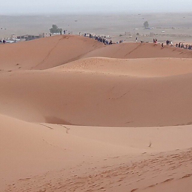 Dunes of the deep desert, Sahara